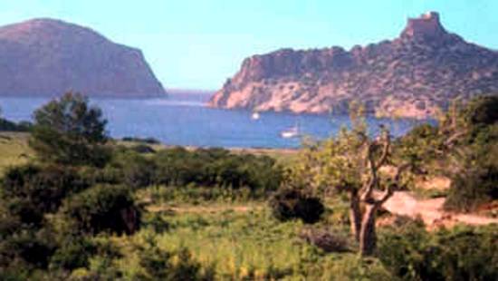 La Isla de Cabrera