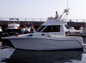 Alquilar una Rodman 870 Fly