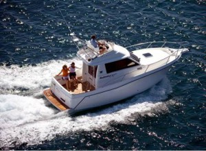 Alquilar un Rodman 870 Fly